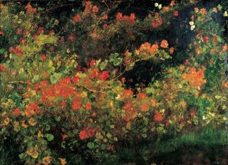 Jacobus Van Looy - Augustus: Oostindische kers