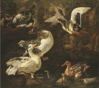 Jacobus Victor - Geese, ducks and ducklings in a landscape with a pond, with two hens nearby on a wall