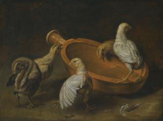 Jacobus Victors - Five Chicks Assembled Around A Bowl Of Water
