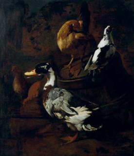 Jacobus Victors - Poultry and fowl in a barn; and A duck and other fowl in a yard