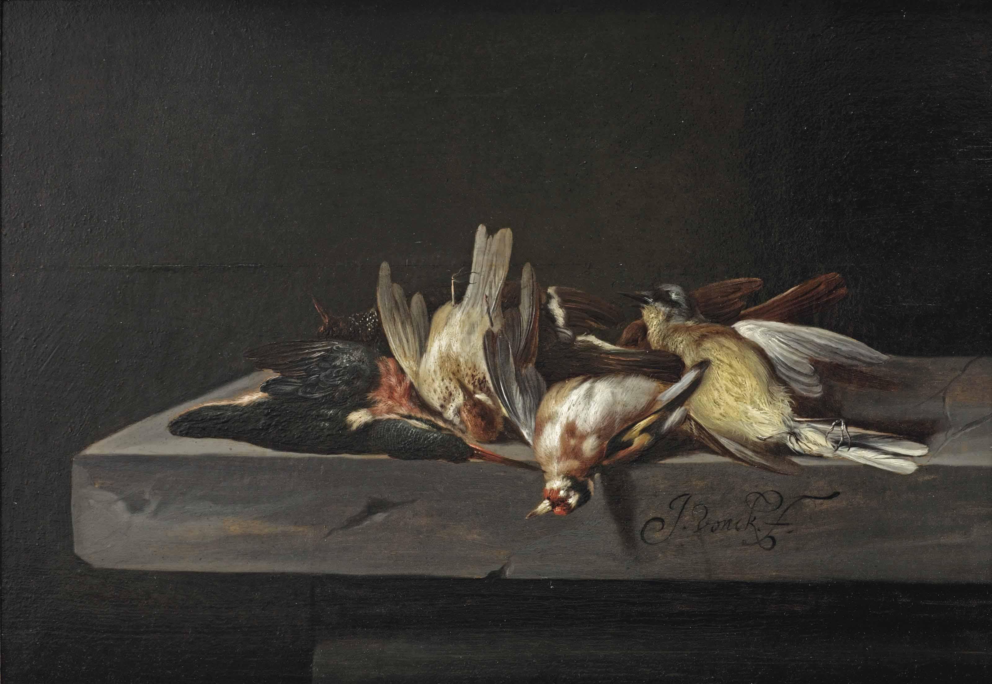 Jacobus Vonck - A gold finch, a common kingfisher and a hooded Siskin, all on a stone ledge