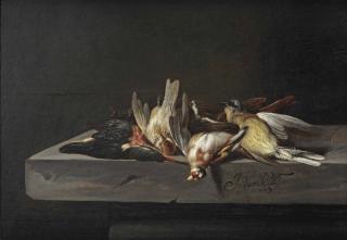 Jacobus Vonck - A gold finch, a common kingfisher and a hooded Siskin, all on a stone ledge