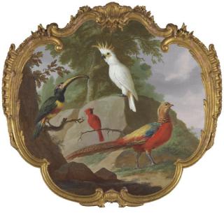 Jacobus Vonck - A Sulphur-Crested Cockatoo, A Golden Pheasant, A Cardinal And A Toucan In A Landscape