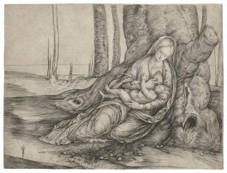 Jacopo De\' Barbari - The Virgin with the Infant Christ reclining against a Tree