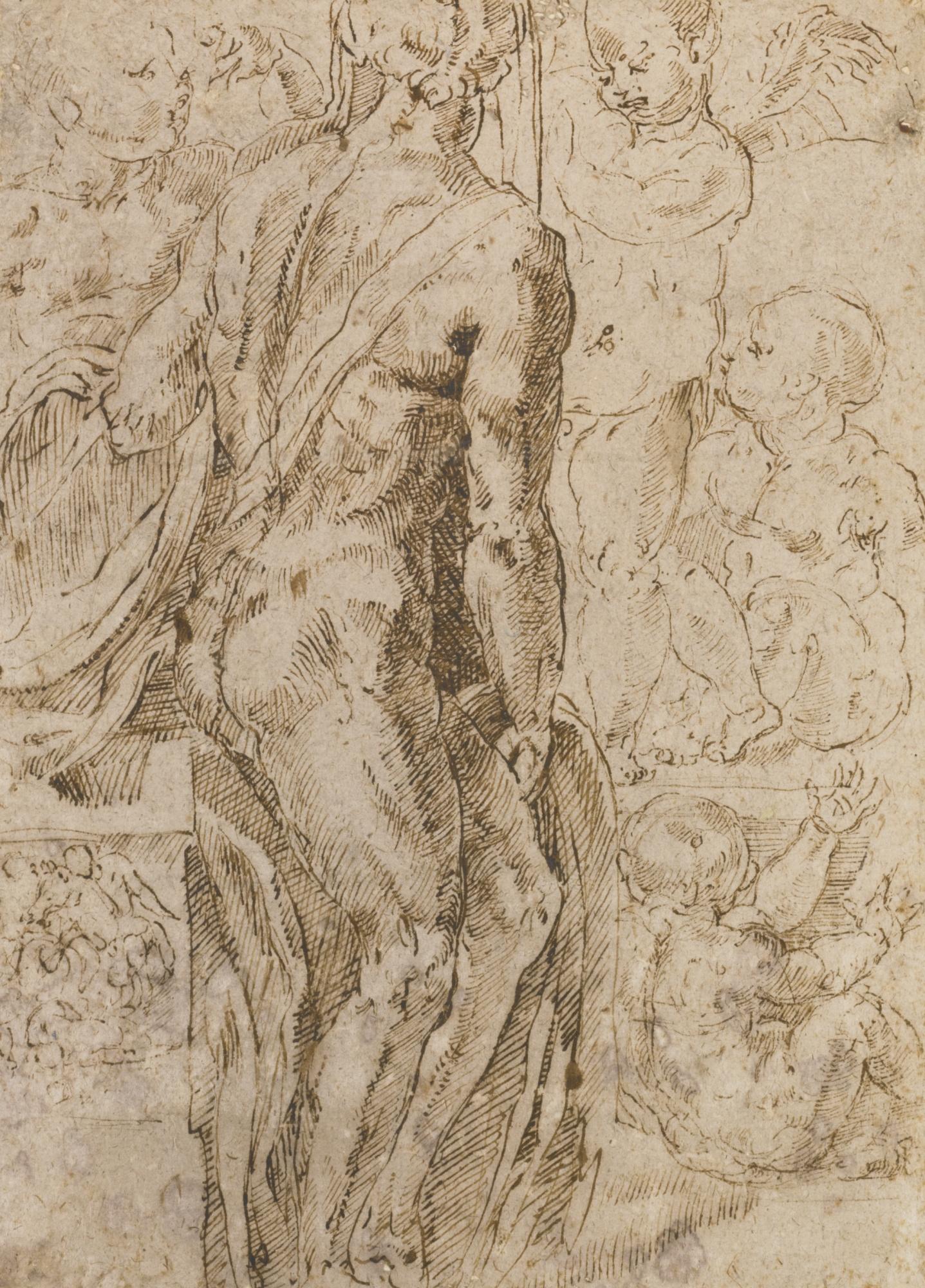 Jacopo Di Giovanni Di Francesco - Study Of A Standing Male Nude, Seen From The Side, And Several Putti