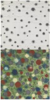 Jacqueline Humphries - Untitled