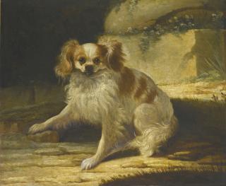 Jacques-Charles Oudry - A Portrait Of A Brown And White Toy Spaniel In A Landscape