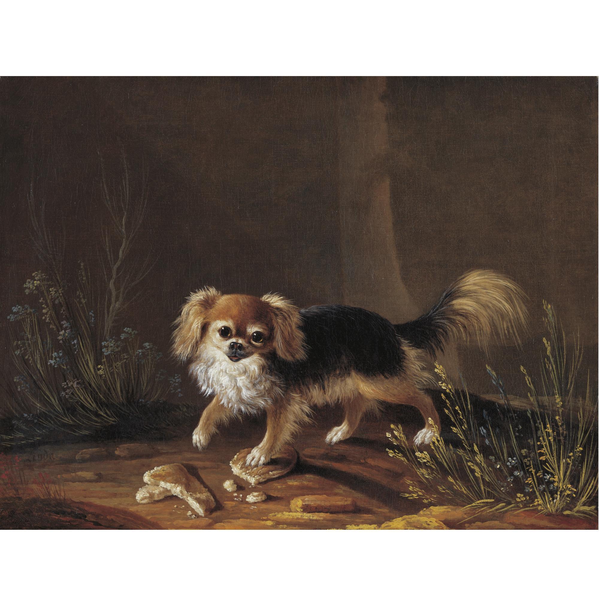 Jacques-Charles Oudry - Portrait Of Linda, A Pekingese
