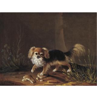 Jacques-Charles Oudry - Portrait Of Linda, A Pekingese