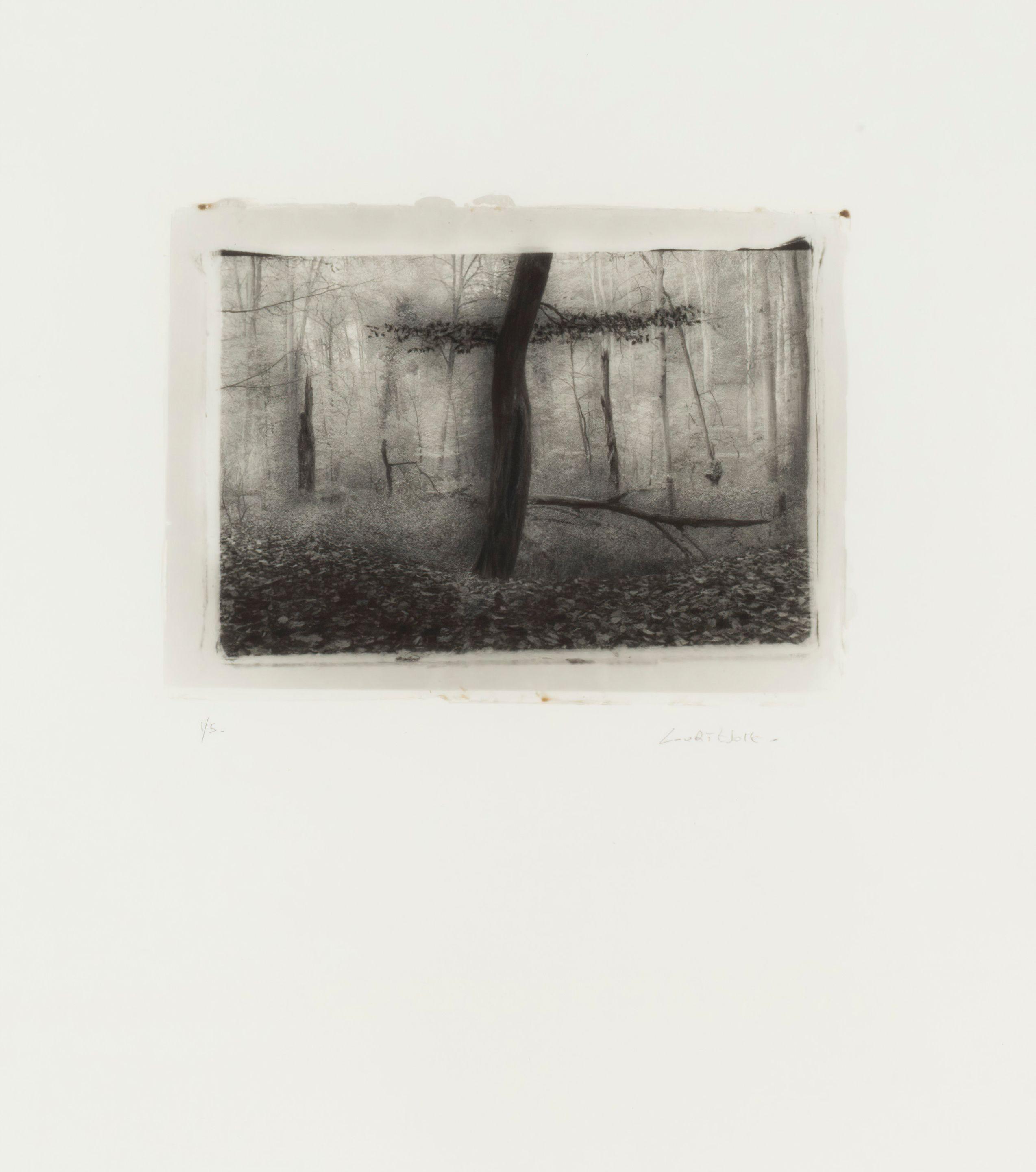 Jacques Courtejoie - Les portes de l\'enfer II