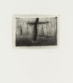 Jacques Courtejoie - Les portes de l\'enfer II