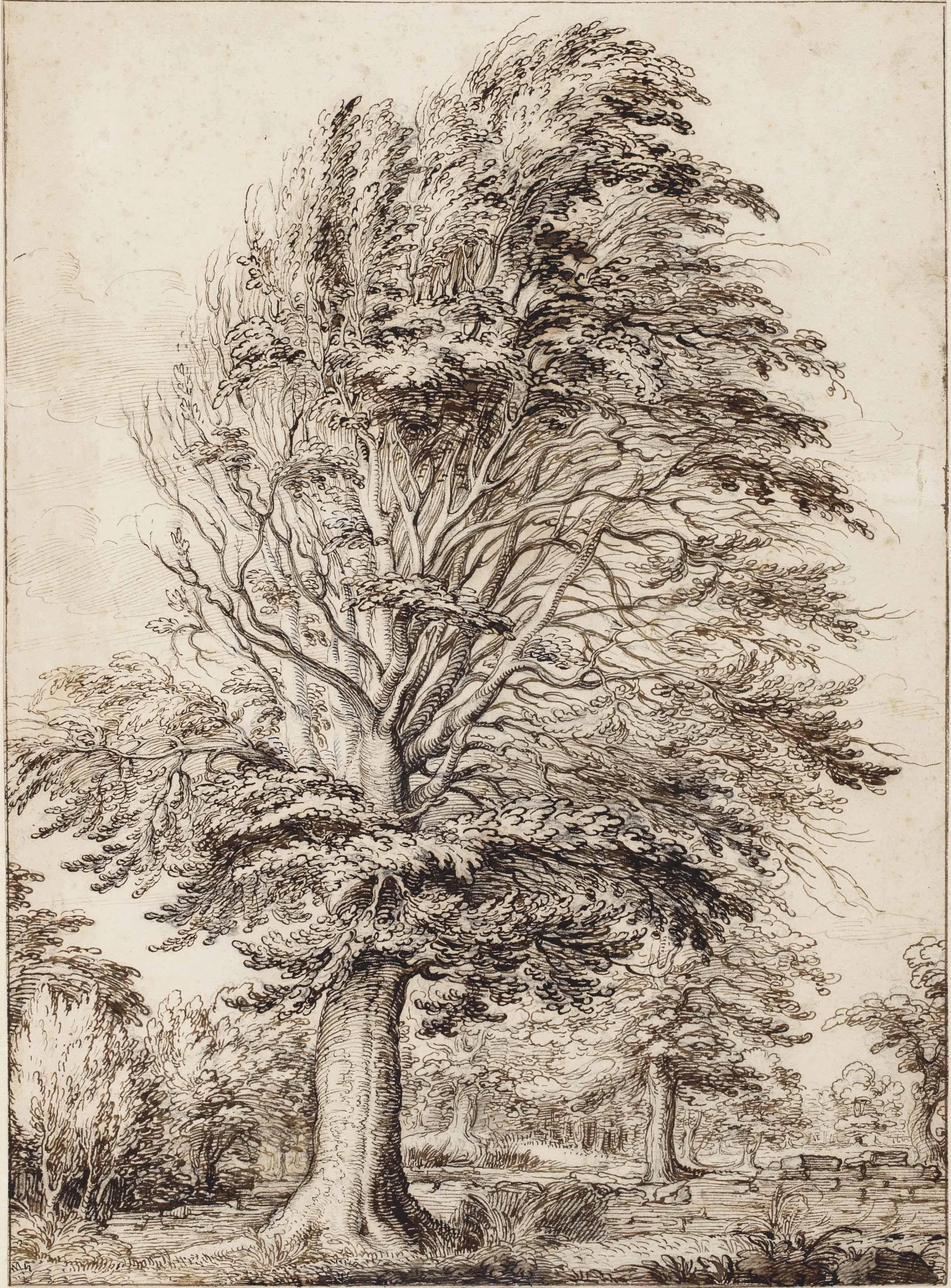 Jacques De Gheyn II - A large beech, partly in leaf
