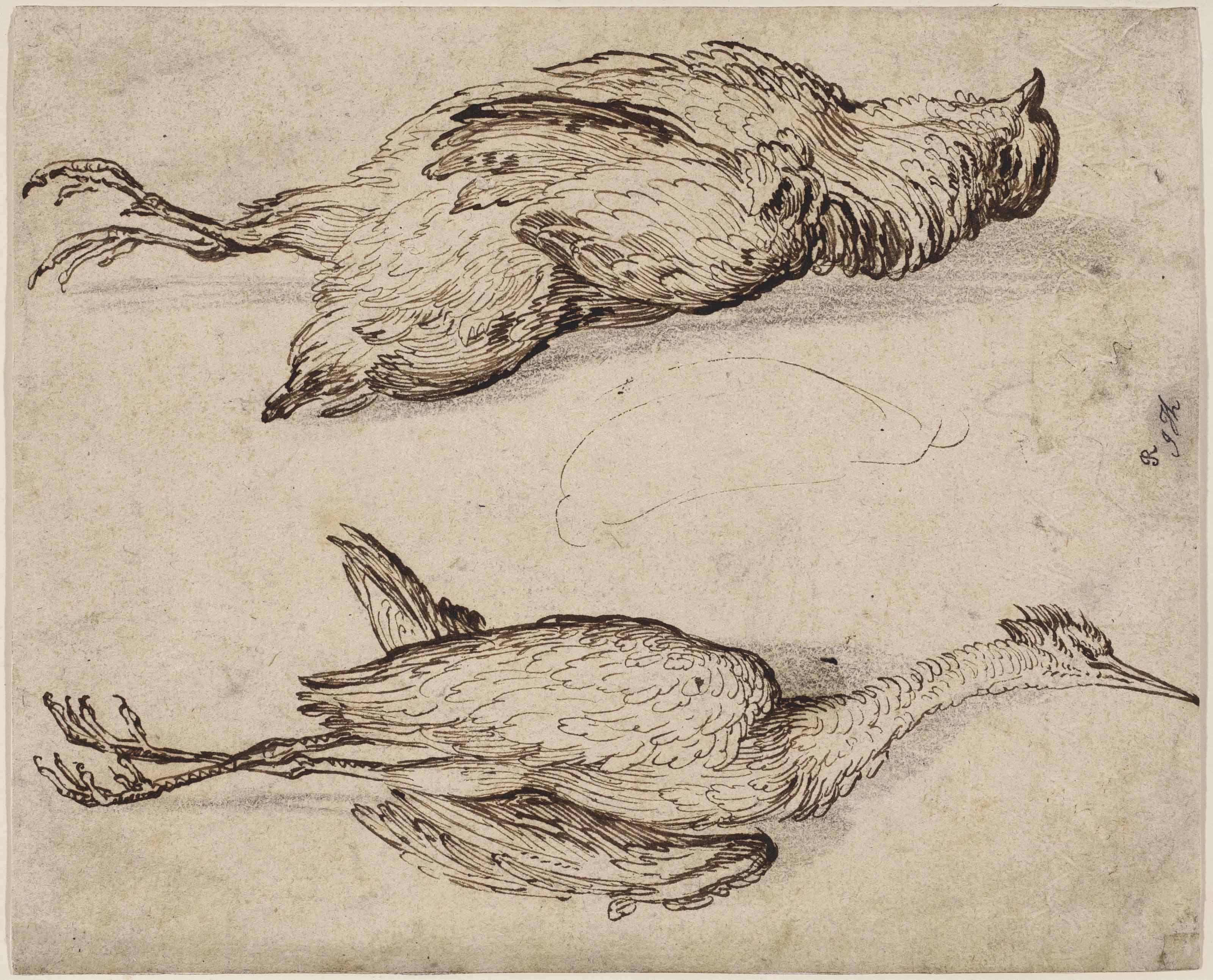 Jacques De Gheyn II - A partridge and a squacco heron