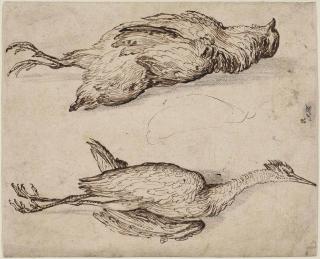Jacques De Gheyn II - A partridge and a squacco heron