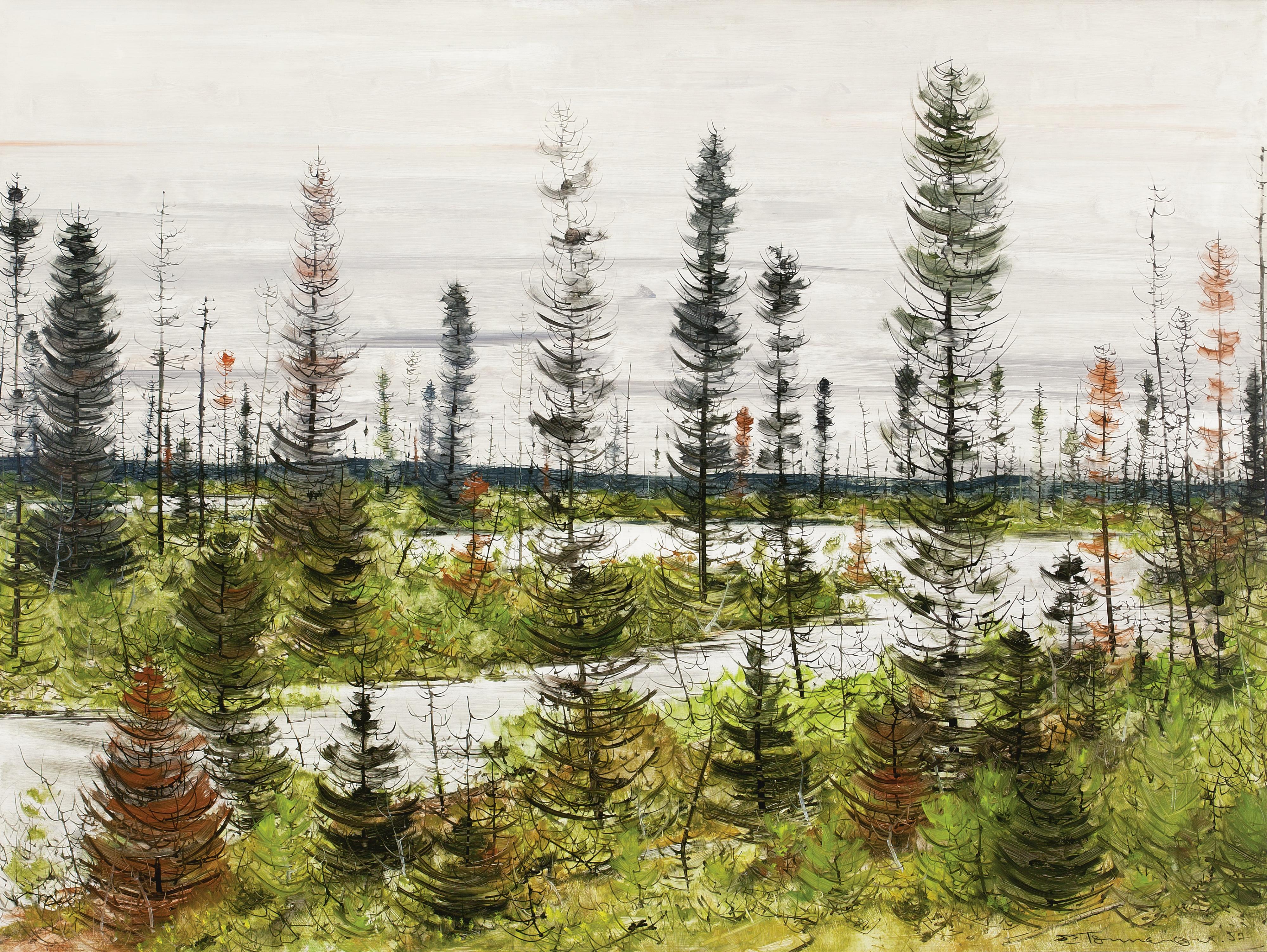Jacques Godefroy De Tonnancour - Black Spruce Country