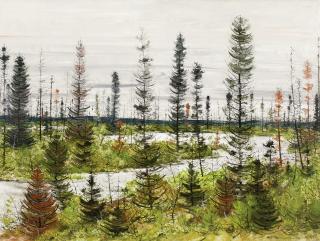 Jacques Godefroy De Tonnancour - Black Spruce Country