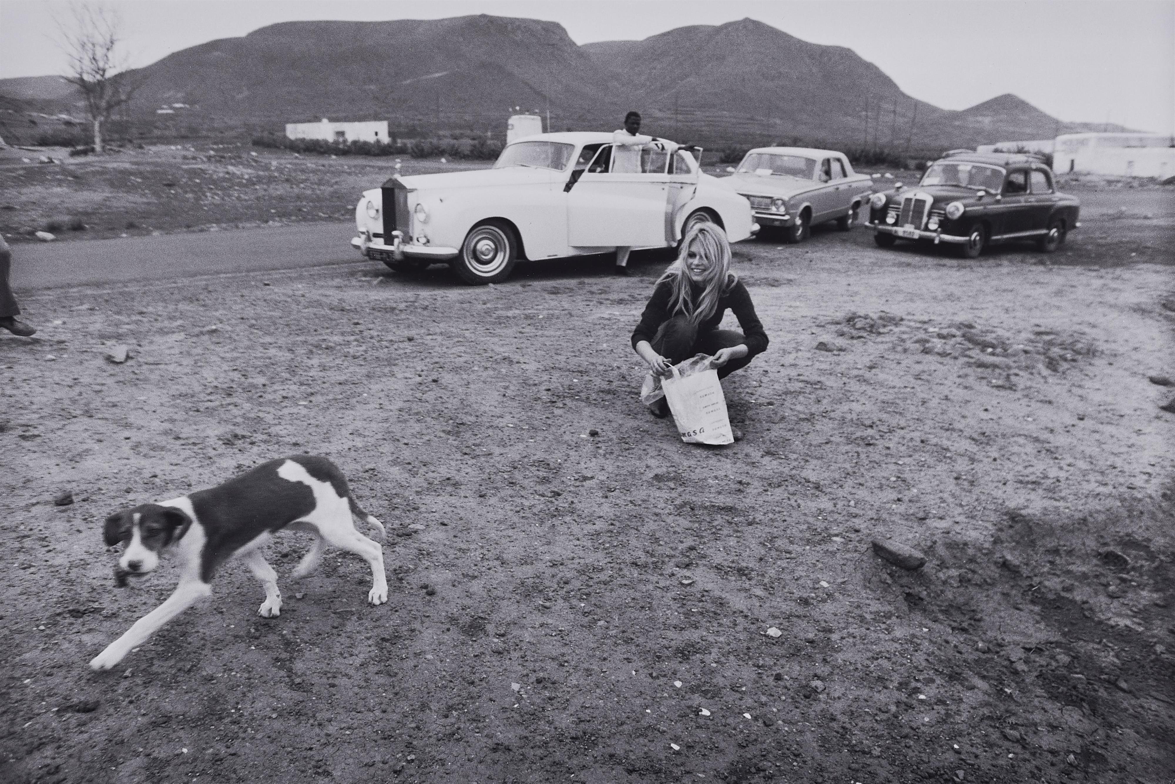 Jacques Héripret - Le Chien Errant - Doggy Bag