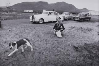 Jacques Héripret - Le Chien Errant - Doggy Bag