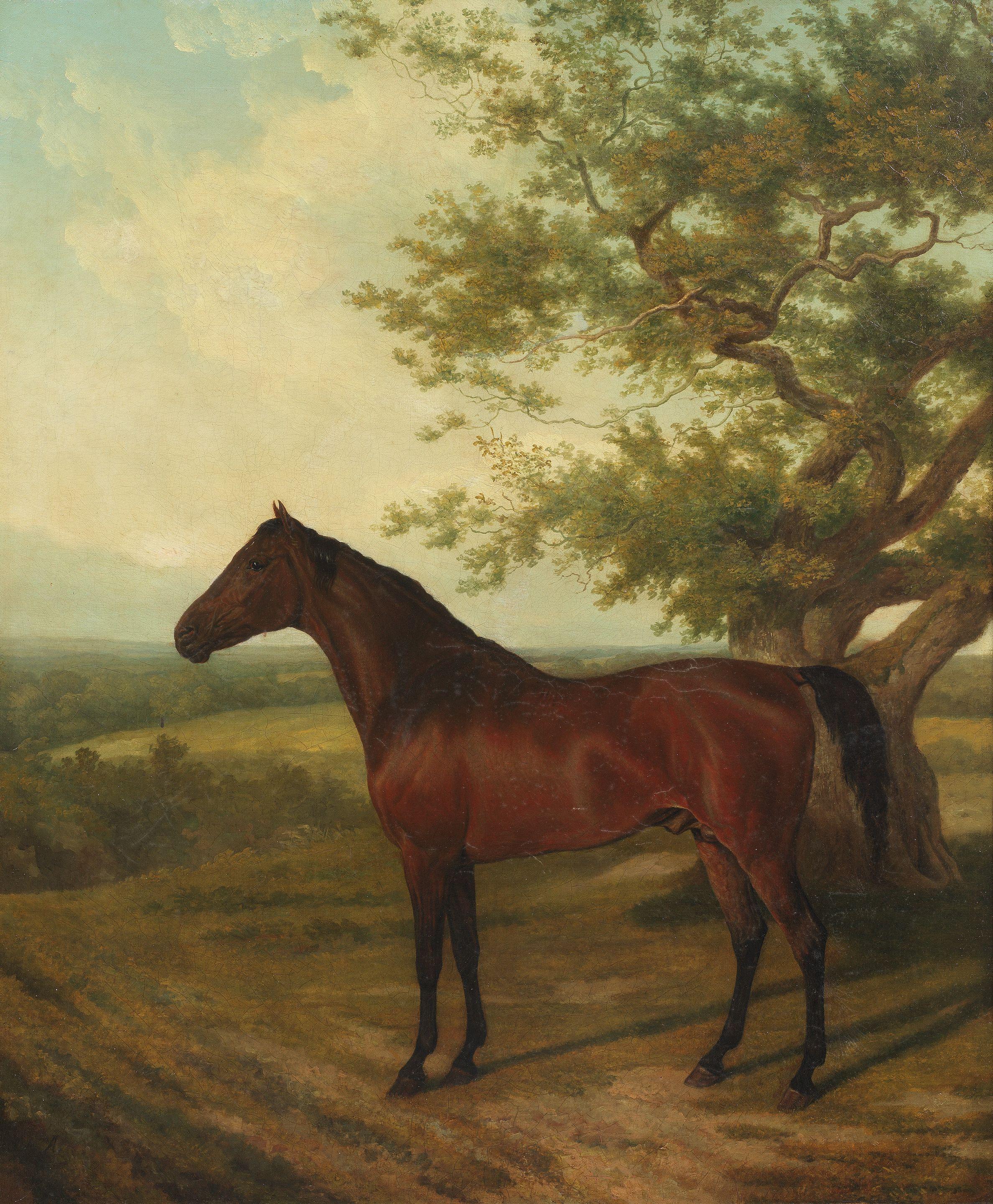 Jacques-Laurent Agasse - A bay stallion from Lord Heathfield\'s stud in a landscape