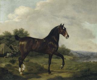 Jacques-Laurent Agasse - A dark bay hunter in an extensive landscape, horses and cattle beyond
