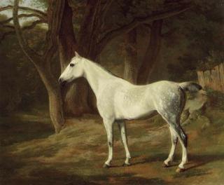 Jacques-Laurent Agasse - A grey hunter in a wooded landscape