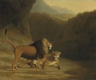 Jacques-Laurent Agasse - A lion and a lioness in a rocky valley