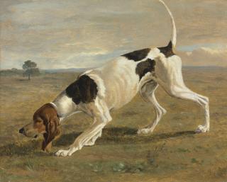 Jacques-Laurent Agasse - A Pointer In A Landscape