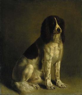 Jacques-Laurent Agasse - A springer spaniel