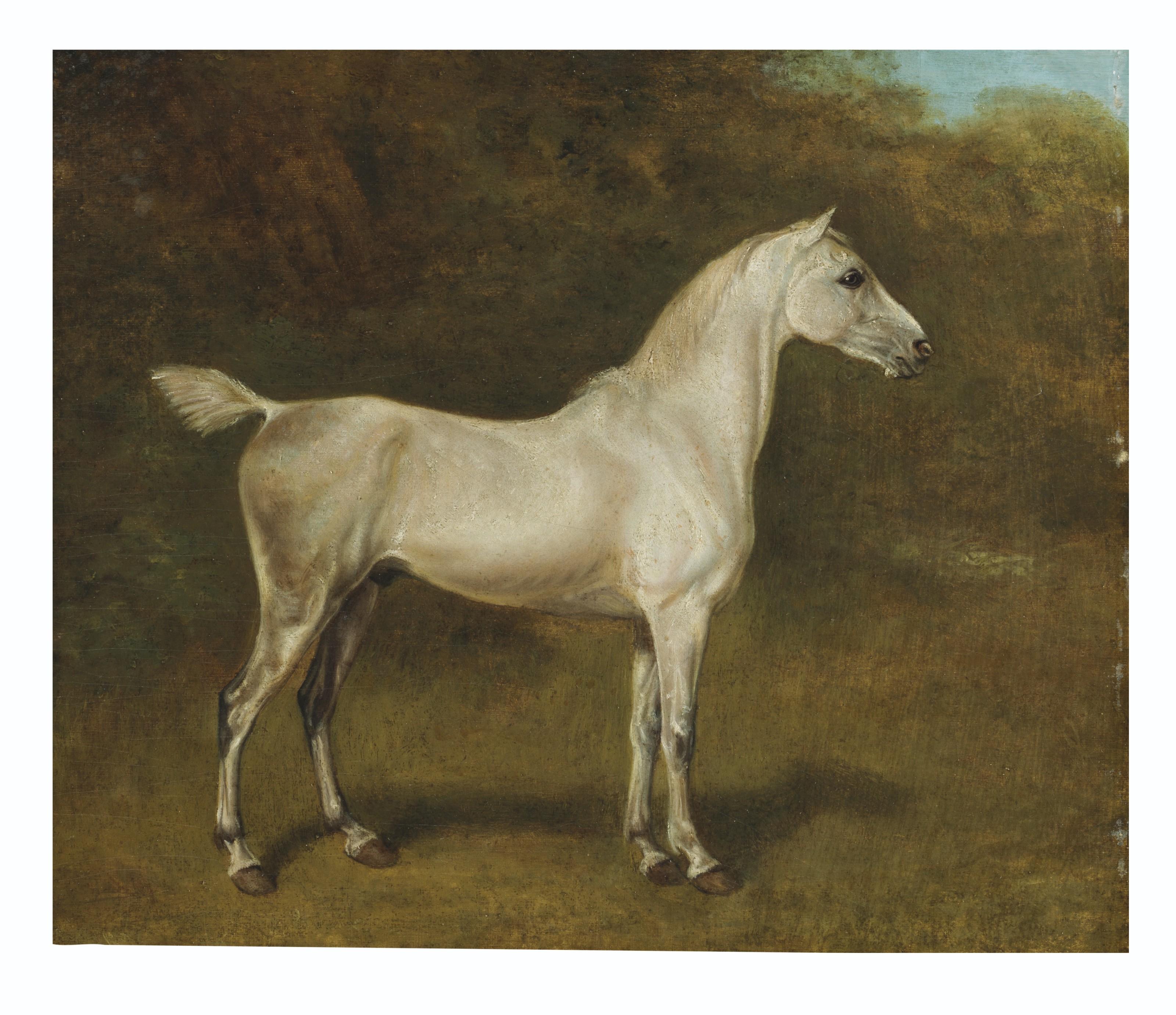 Jacques-Laurent Agasse - An Arab stallion in a field