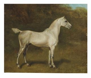 Jacques-Laurent Agasse - An Arab stallion in a field