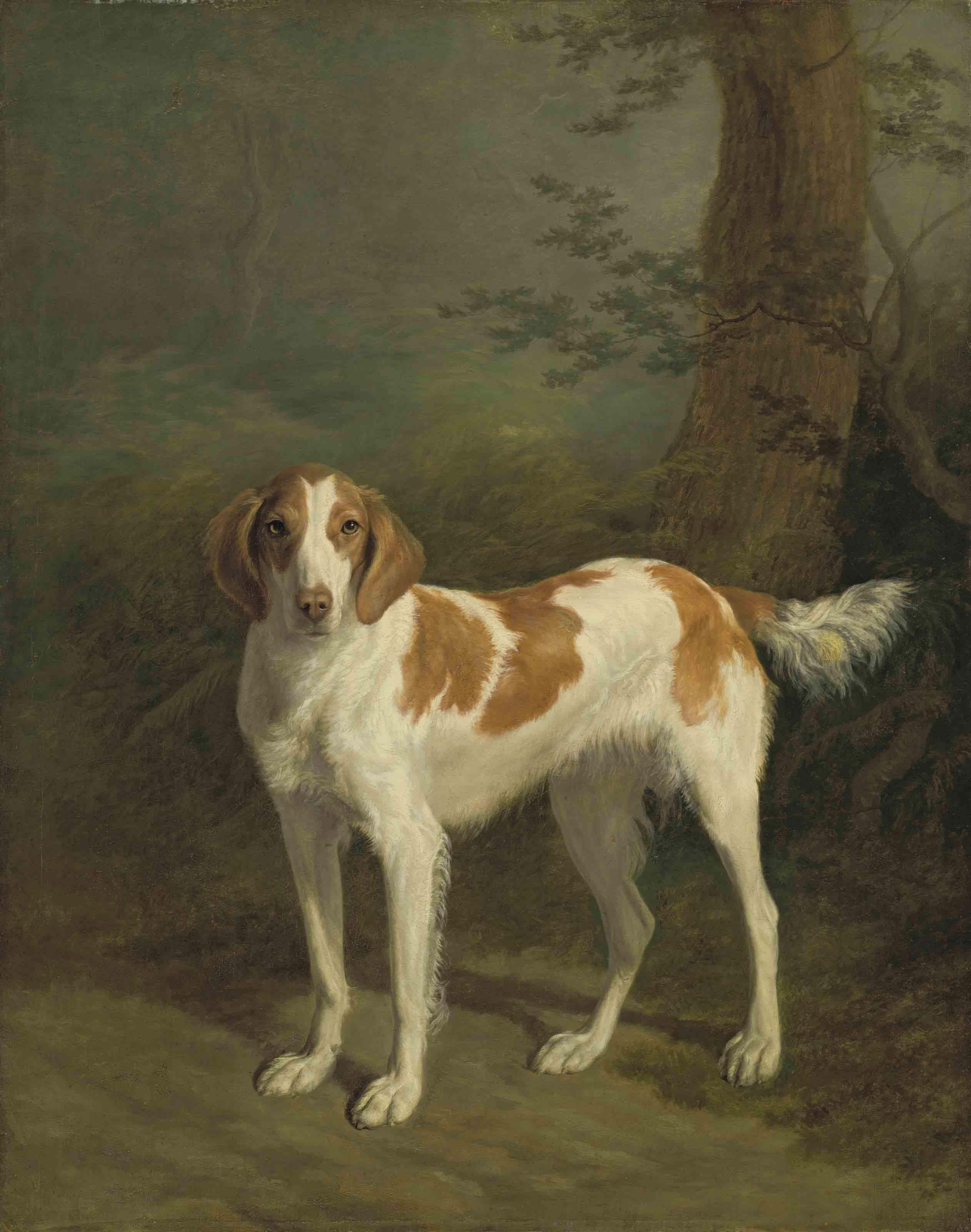 Jacques-Laurent Agasse - Dash, a setter in a wooded landscape
