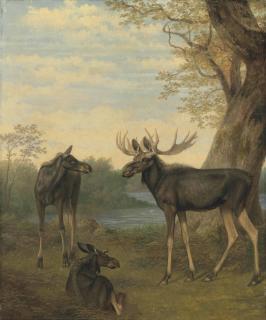 Jacques-Laurent Agasse - Elk in a river landscape