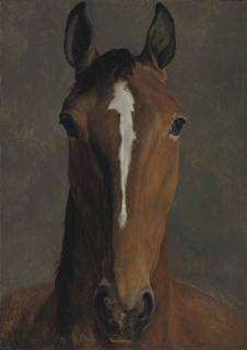 Jacques-Laurent Agasse - Head Of A Bay Horse