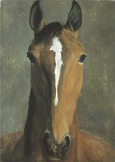 Jacques-Laurent Agasse - Head of a bay horse