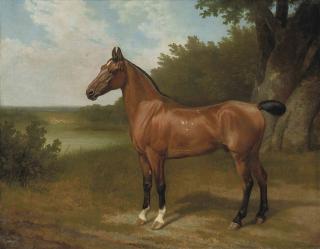 Jacques-Laurent Agasse - Lord Bingley\'s hunter in a wooded river landscape