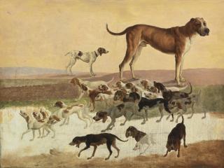 Jacques Laurent Agasse - Study Of Dogs