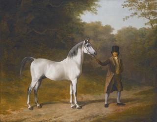 Jacques Laurent Agasse - The Wellesley Arabian, Held By A Groom In A Landscape