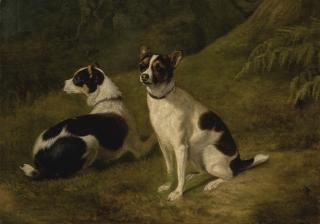 Jacques Laurent Agasse - Two Terriers In A Landscape