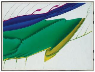 Jacques Poli - Calosoma auropunctatum