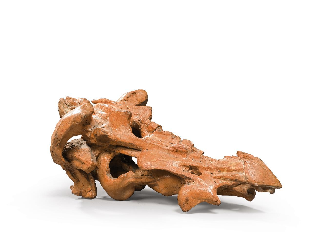 Jacques Zwobada - Animal Fantastique