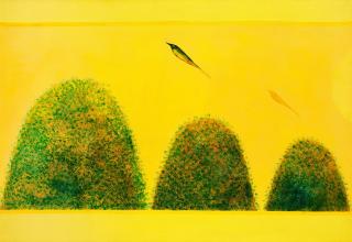Jagdish Swaminathan - Untitled (Bird & Mountain series)