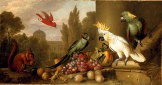Jakob Bogdani - A Cardinal, a Plum-Headed Parakeet, a Lesser Sulphur-Crested Cockatoo, a Yellow-Naped Amazon, and a squirrel with grapes, apples, plums and walnuts in a ruin, a city beyond