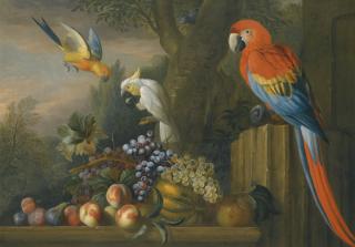 Jakob Bogdány - A Still Life With Fruit, Parrots And A Cockatoo