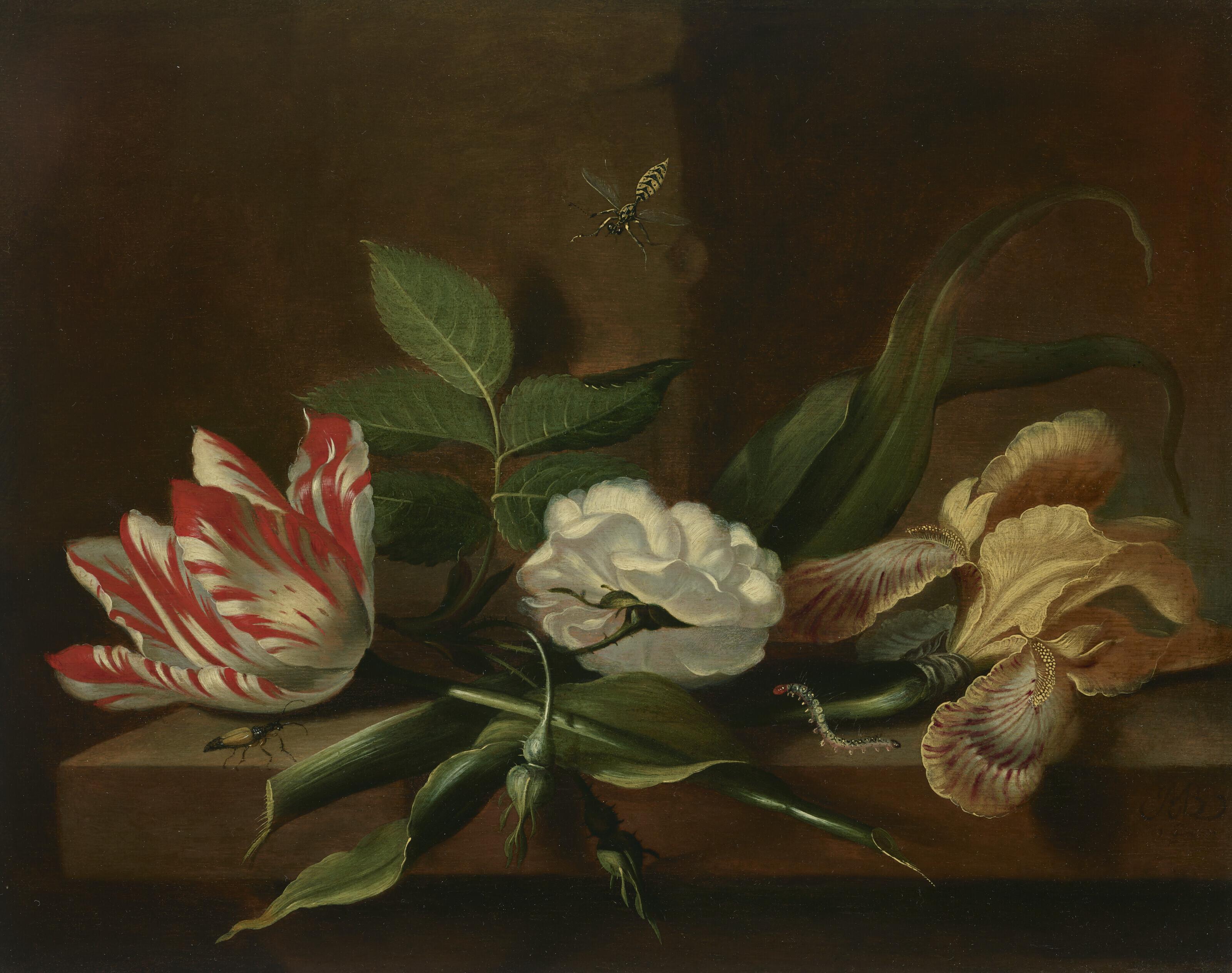Jakob Marrel - A parrot tulip, a rose, an iris and insects on a wooden table