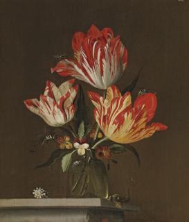Jakob Marrell - Tulips and violets in a vase, with a shell, a lizard, a dragonfly, a bee and a wasp, on a ledge