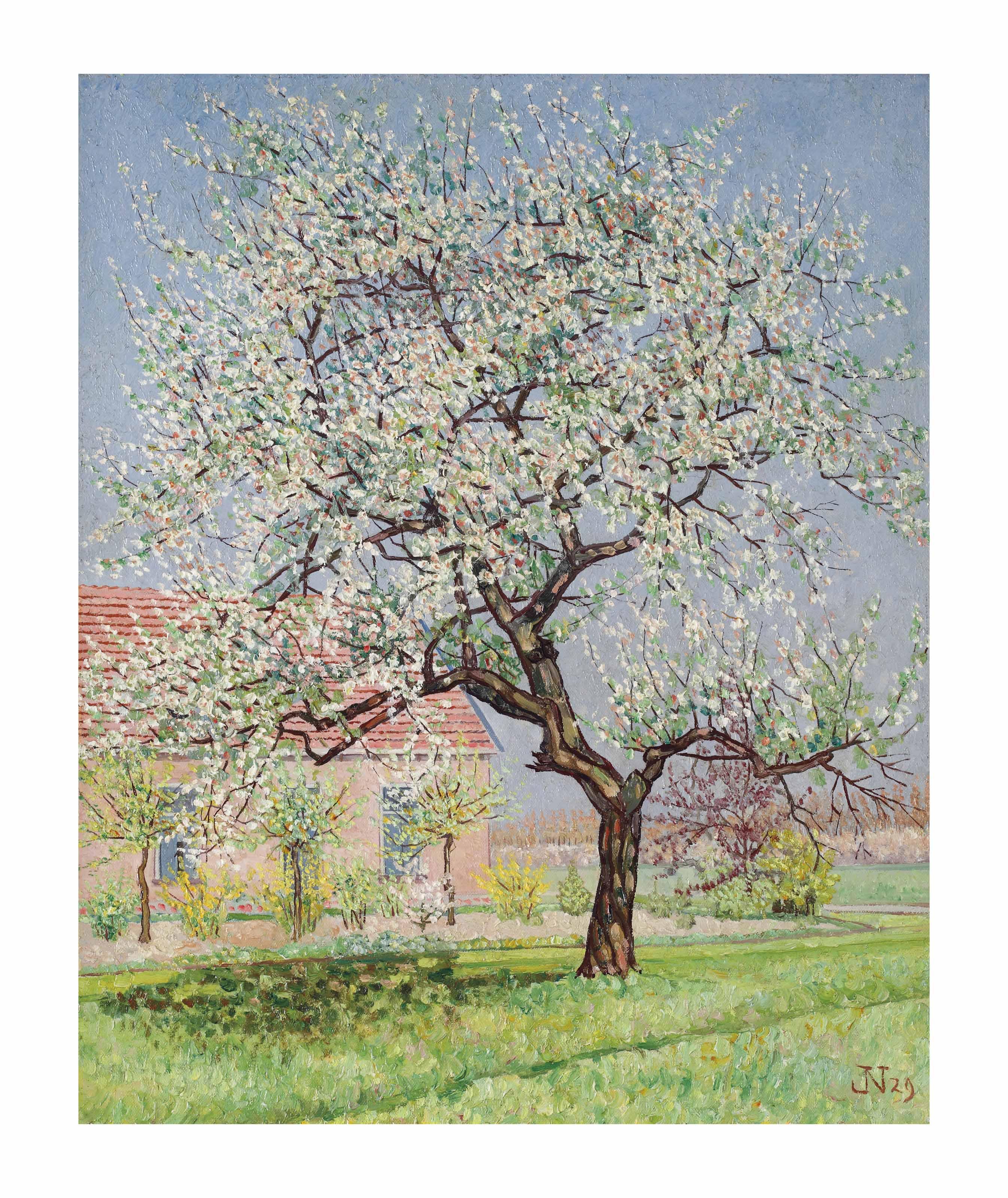 Jakob Nieweg - Blossoming tree