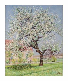Jakob Nieweg - Blossoming tree