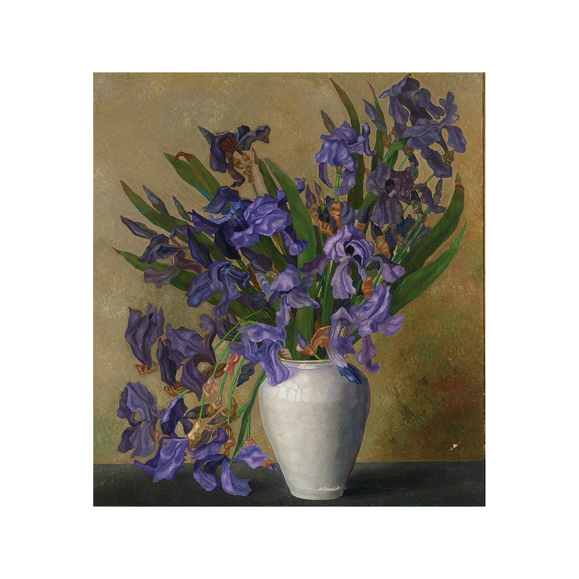 Jakob Nieweg - Irissen