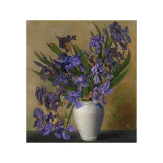 Jakob Nieweg - Irissen