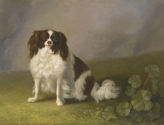 Jakob Philipp Hackert - Portrait Of A King Charles Spaniel In A Landscape